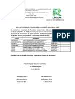 Acta Definitiva Del Proceso Eleccionerio