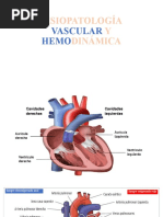 2.fisiopatología Vascular y Hemodinámica