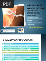 Grade 12 Life Science Human Reproduction Notes