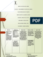 ILUMINET Modelo de Negocios Canva