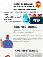 COLINESTERASA