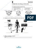 PDF Documento