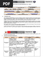 Sílabo de Práctica Pre - Profesional VI