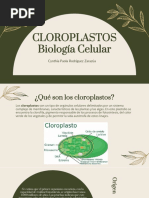 CLOROPLASTOS