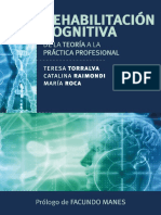 Rehabilitacion Cognitiva. de La Teoria A La Practica Profesional