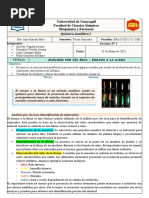 Informe N°1 - Análisis Por Vía Seca