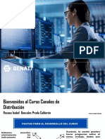 Canales de Distribución - Diapositivas