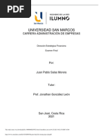 Examen Final Dir Estrateg Juan Salas PDF