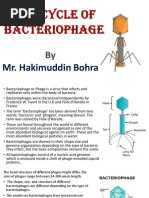 Life Cycle of Bacteriophage