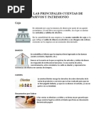 Album de Las Principales Cuentas de Activos Pasivos y Patrimonio