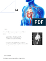 AORTA