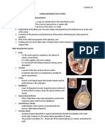 SCIENCE 10 - The Reproductive System