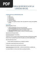 Cirugía Tema 3 ANATOMIA QUIRURGICA DE LA CAVIDAD BUCAL