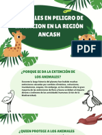 Animales en Peligro de Extinción en La Región de Ancash