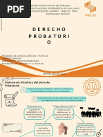 Presentación - Derecho Probatorio