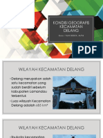 Kondisi Geografis Kecamatan Delang