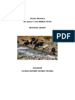 Ficha Técnica Función Del Agua y Las Sales Minerales