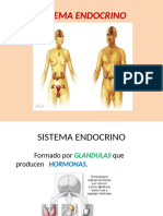 CLASE 11 SISTEMA ENDOCRINO - Tagged