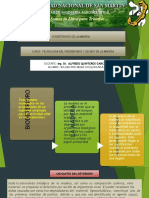 Biodeterioro de La Madera