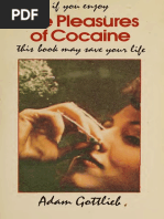 Pleasures of Cocaine - Adam Gottlieb