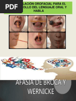 Estimulación Orofacial para El Desarrollo Del Lenguaje Oral y Habla