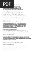 Documento