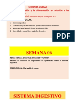 SEMANA 06. Sistema Digestivo