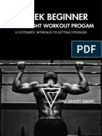 6 Week Beginner Workout Program Rev 2