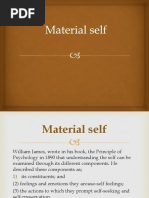 Materialself