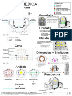 Minerva Medica G8 Entrega