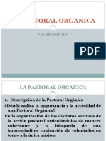 La Pastoral Orgánica