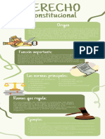 Infografia de La Rama Del Derecho Constitucional