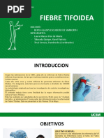 Fiebre Tifoidea