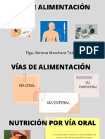 Vías de Alimentación