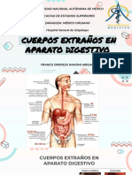 Cuerpos Extraños en Tubo Digestivo