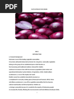 Cultivation of Red Onion