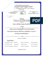 Merwa Rania Memoire PFE Finale