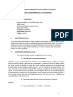 Informe Psicologico