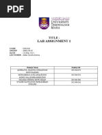 CSC430 Lab Assignment 