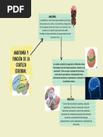 Gráfico Diagrama Cuadro Sinóptico Doodle Creativo Multicolor