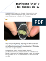 Qué Es La Marihuana Cripy