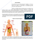 Aparato Digestivo