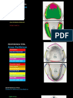 Modelos de Estudio-Anatomia Del Desdentado