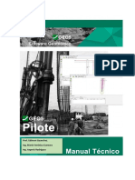 E3 Ejemplo GEO5 Pilote en Suelo Cohesivo R02