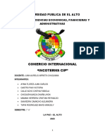 Documento Terminado Cip