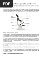 Partes Del Microscopio Optico y Sus Funciones