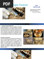 Odontología Forense