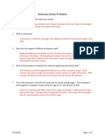 Endocrine System Worksheet Answers