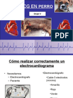 Ecg Presentacion