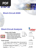 Shortcircuit ANSI